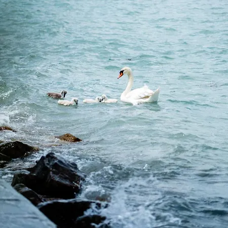 Part - A - Privat Vizparttal Feriehus