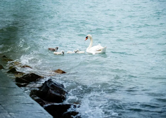 Part - A - Privat Vizparttal Feriehus